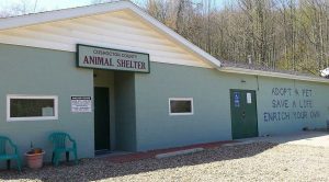 animal shelter